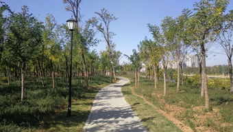 烏江河口公園可以開放了 證照聯辦,今后食品小經營店登記更加便利 嫣然天使基金惠及我市