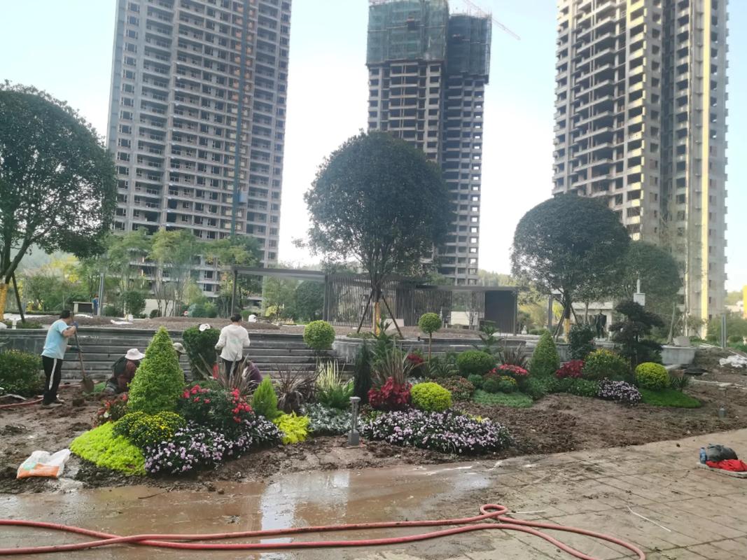 地產項目大門入口節(jié)點花境設計施工~#園林綠化工程 #施工現(xiàn)場