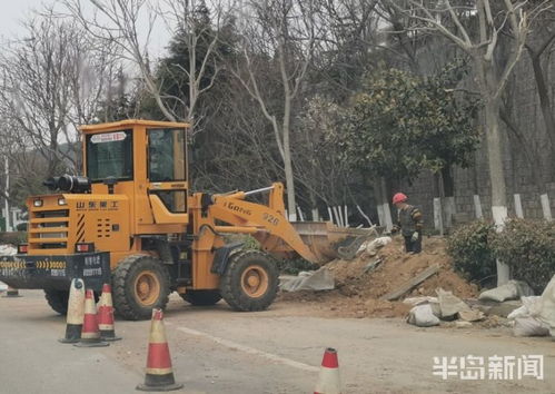 青島市區(qū)園林綠化工程有序復(fù)工，施工人員忙碌建設(shè)美麗家園